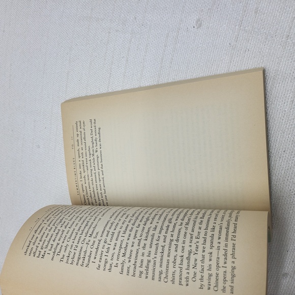 3/$10 The Rice Room: Growing Up Chinese-American - Picture 11 of 13